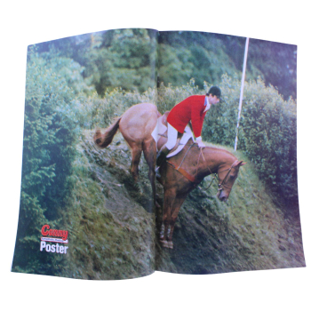 Conny Comic Nr. 91 1982 Bastei kaufen | Mädchen Pferde Comic Klassiker | hoppla-stuff.de